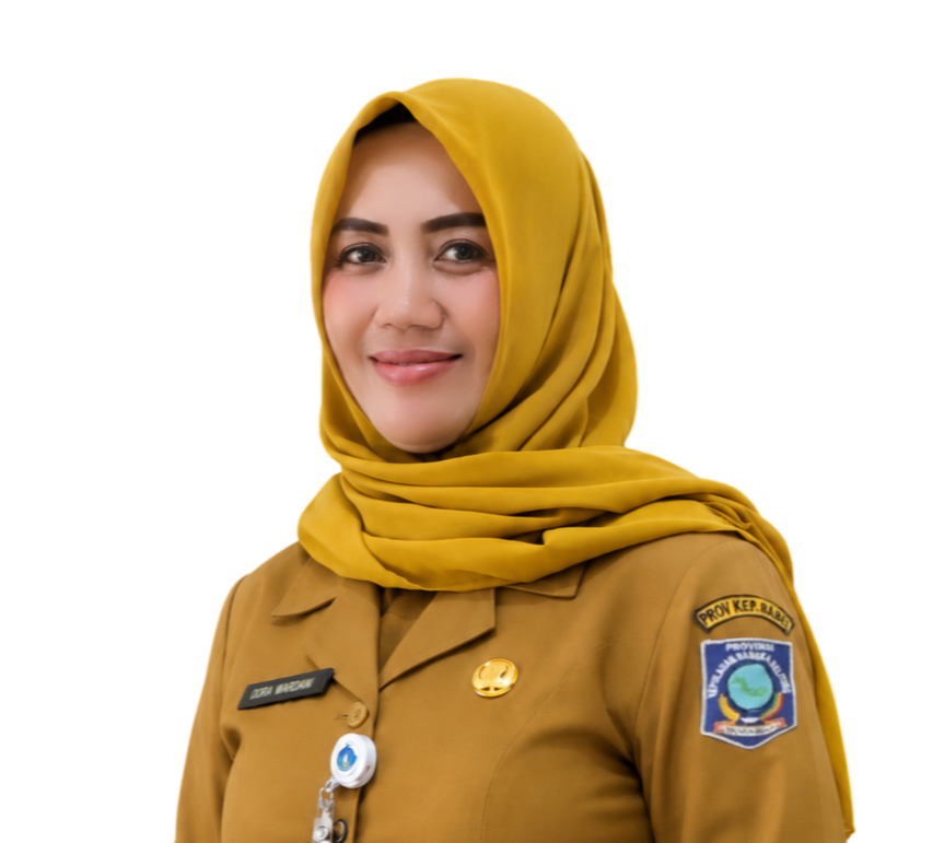 Dora Wardani, S.T.